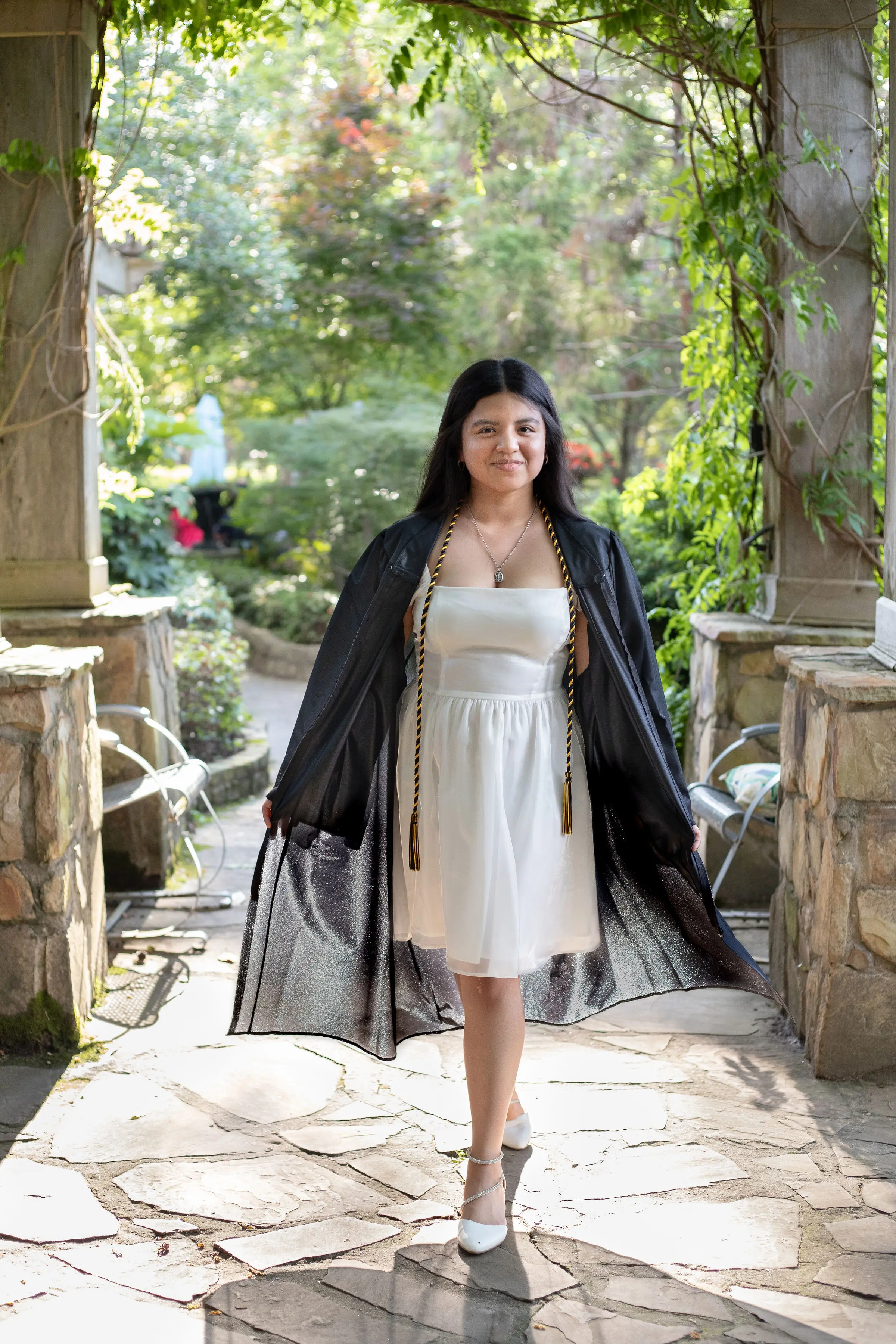 Berenice Walking II